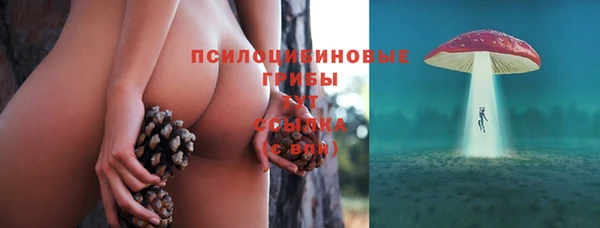 ПСИЛОЦИБИНОВЫЕ ГРИБЫ Осинники