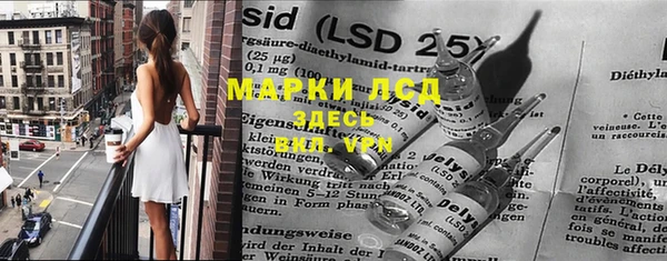 ПСИЛОЦИБИНОВЫЕ ГРИБЫ Осинники
