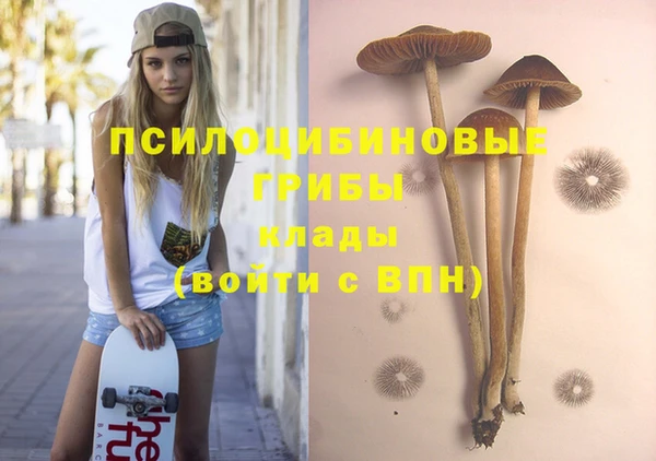 ПСИЛОЦИБИНОВЫЕ ГРИБЫ Осинники