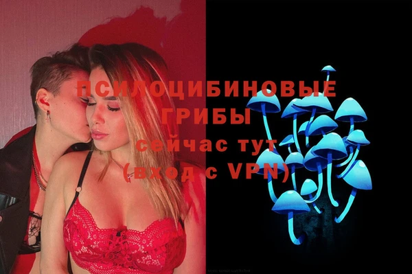 ПСИЛОЦИБИНОВЫЕ ГРИБЫ Осинники