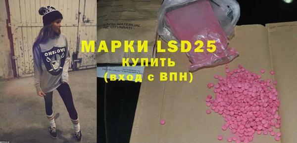 ПСИЛОЦИБИНОВЫЕ ГРИБЫ Осинники
