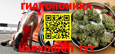 амф Дубна