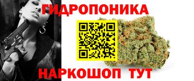 крисы Донецк