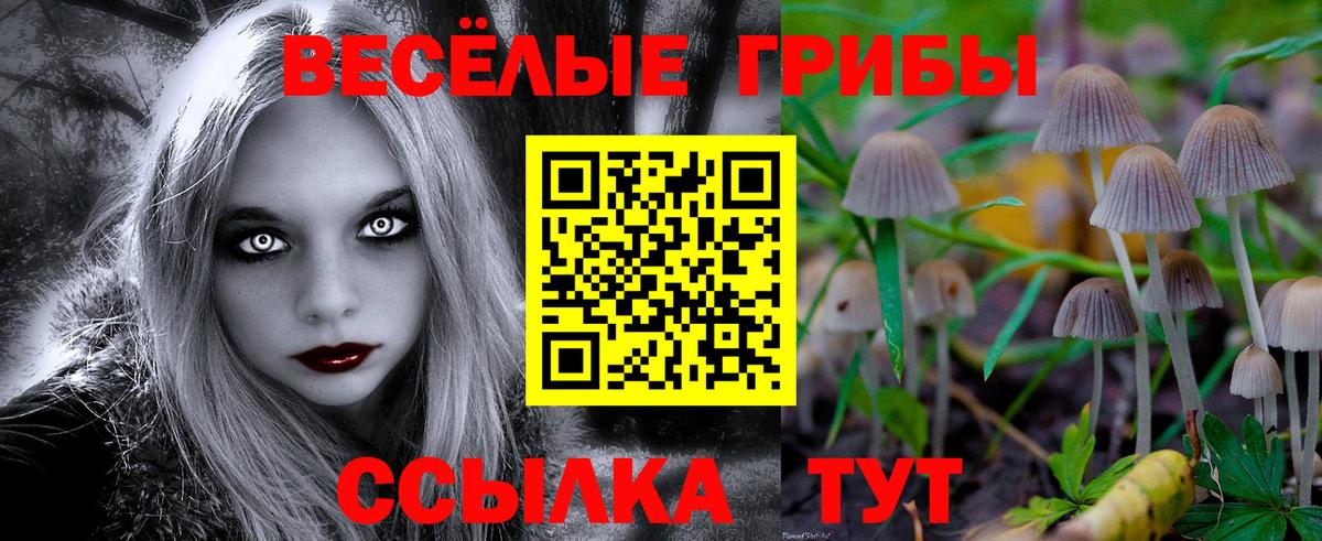 Псилоцибиновые грибы Psilocybe  Галлюциногенные грибы Cubensis  Краснознаменск  Вход с VPN 