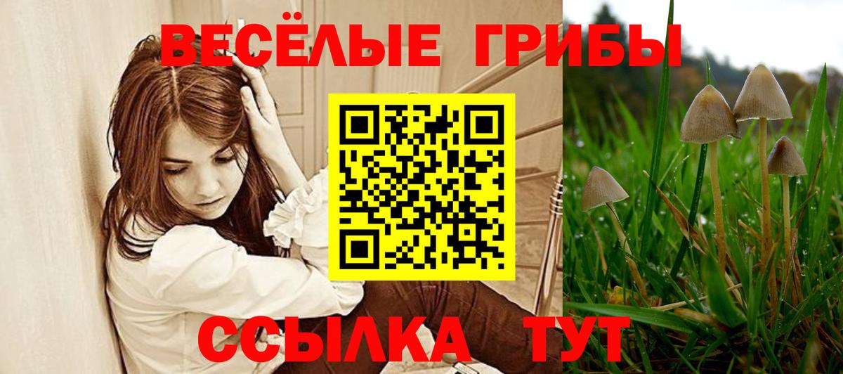 Псилоцибиновые грибы ЛСД Краснознаменск